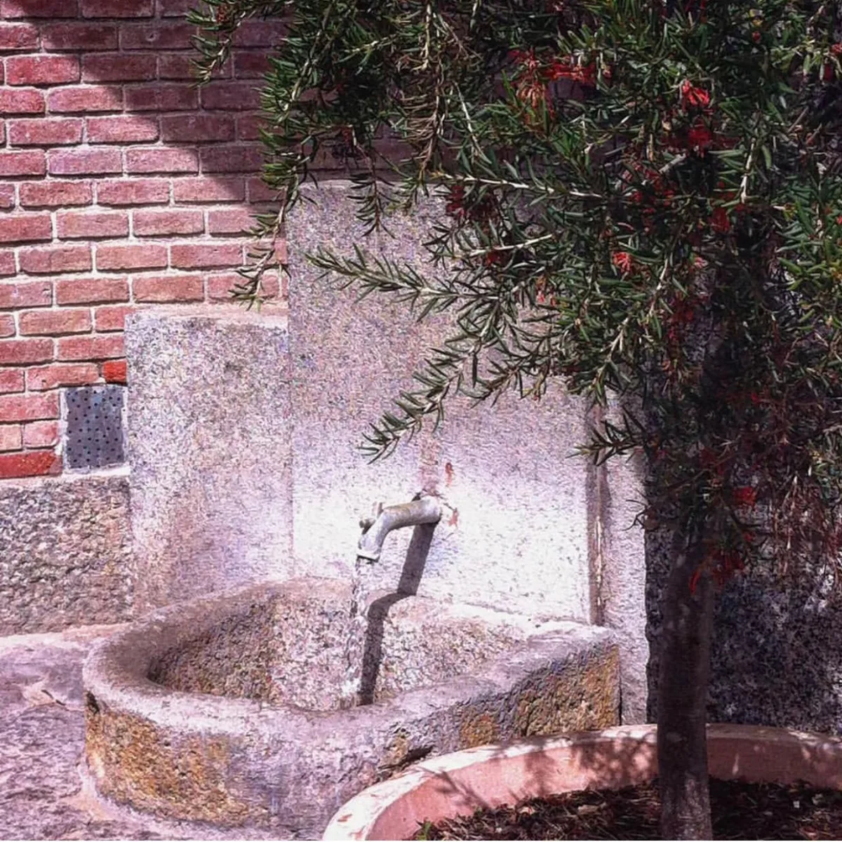 La font renovada del manantial, d'on brolla l'aigua a 38,8 graus