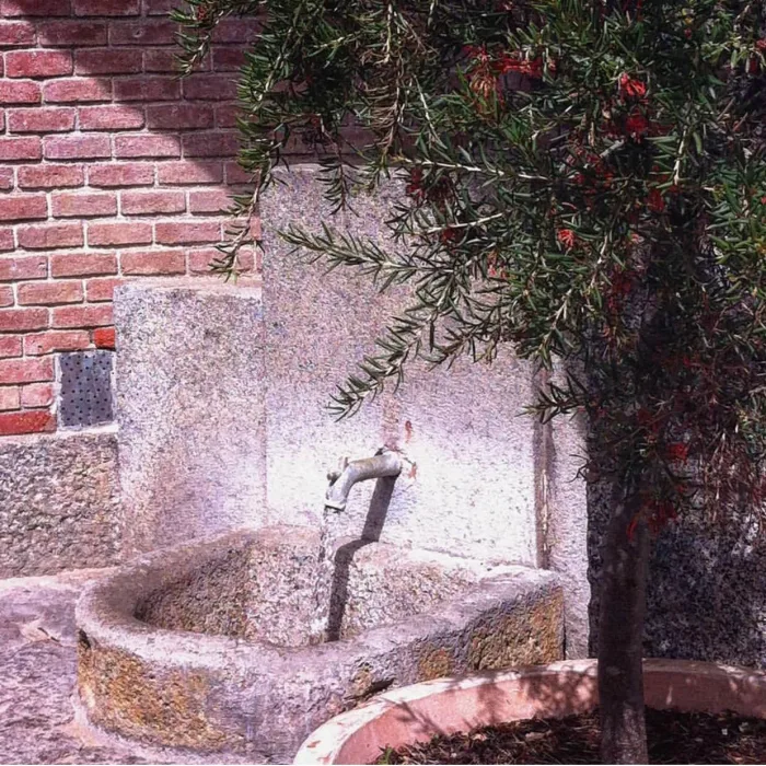 Font nova per on brolla l'aigua mineromedicinal del manantial de Caldes d'Estrac